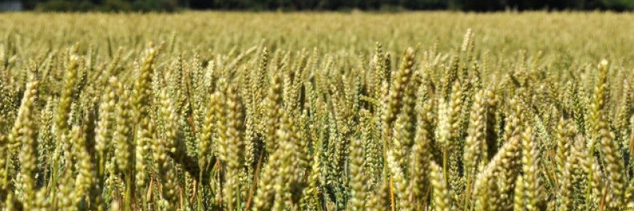 云計算如何應用于無人機植保