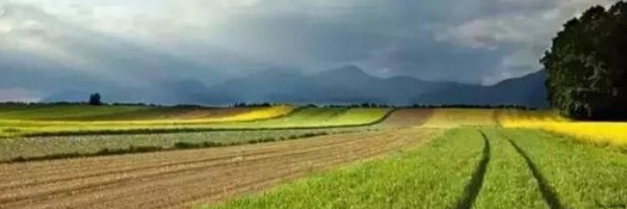 2017年農業補貼申請已經開始，這30個項目都可以拿到國家補貼